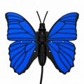Solar Butterfly – Blue Morpho