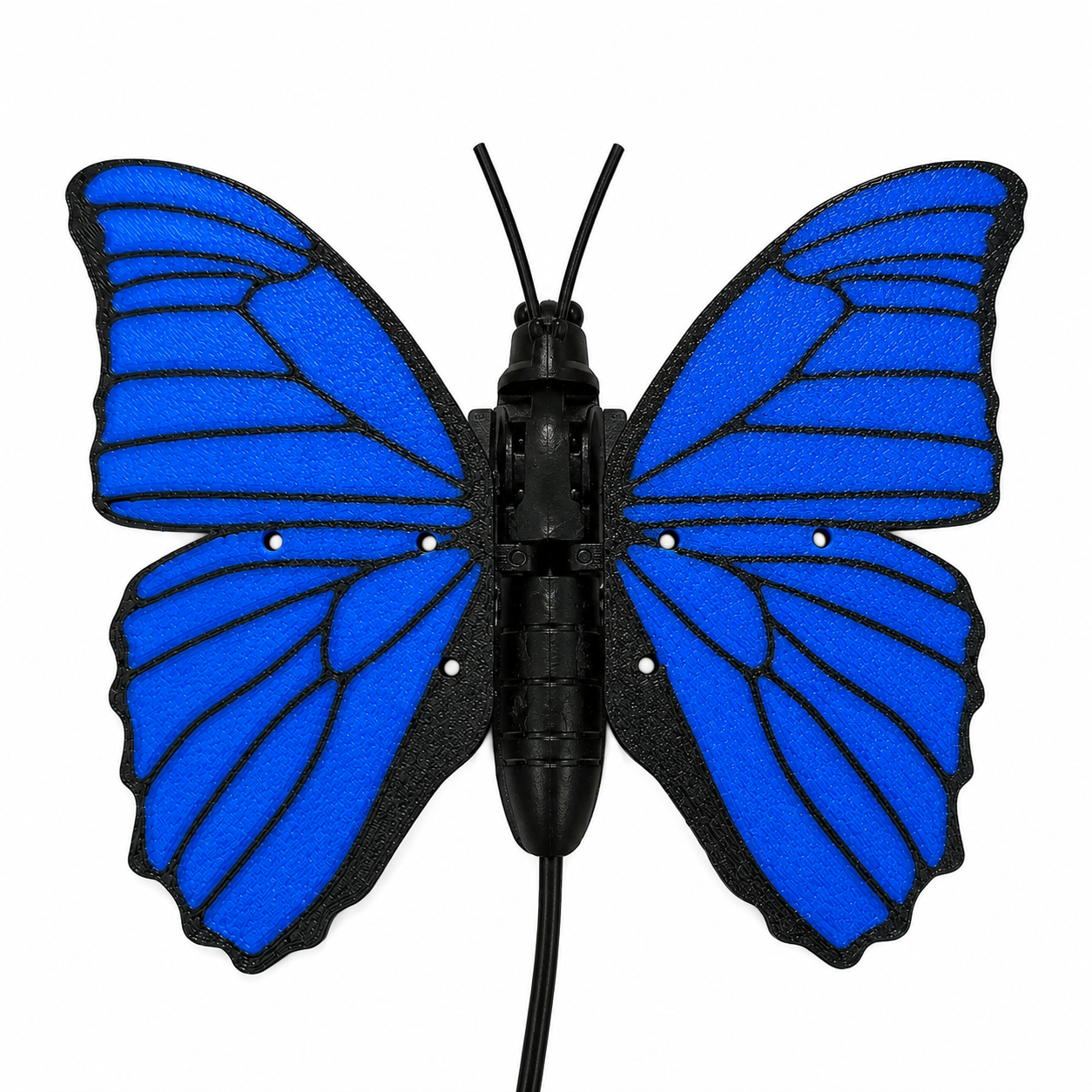 Solar Butterfly – Blue Morpho