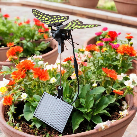 Solar butterfly
